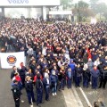 GREVE VOLVO