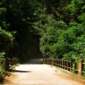 Ponte sobre o rio Açungui, na Estrada do Cerne