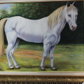 Cavalo Branco
