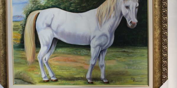 Cavalo Branco